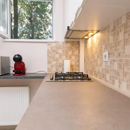 Old For Your Memories Appartement